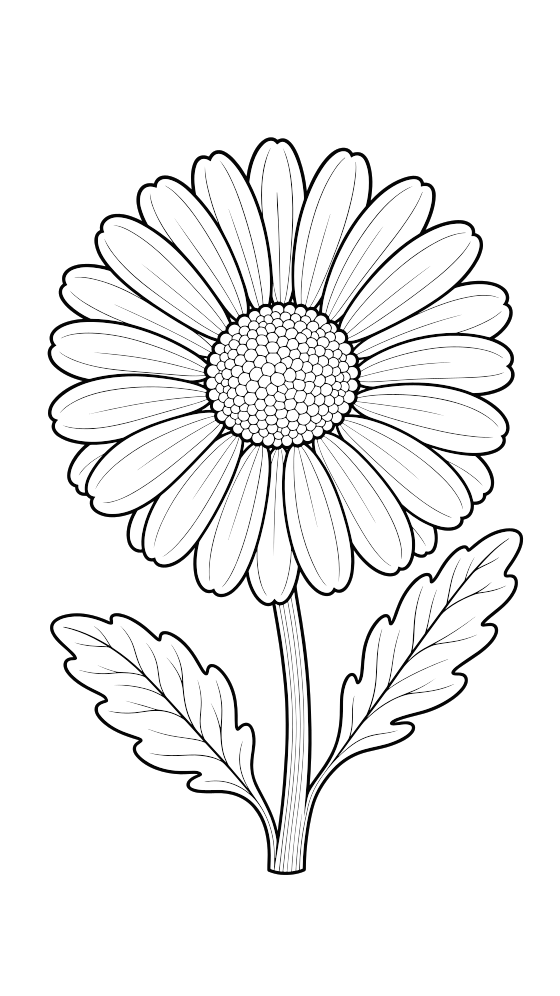 daisy coloring page for adults — free printable PDF