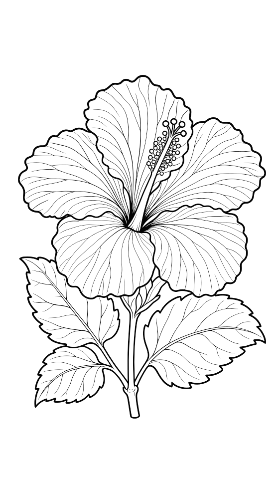 hibiscus coloring page for adults — free printable PDF