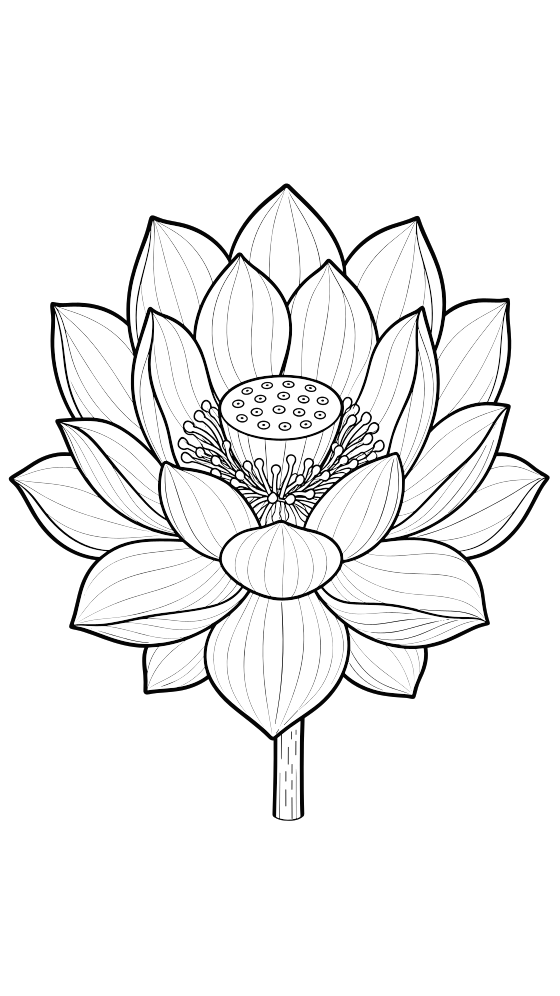 lotus coloring page for adults — free printable PDF