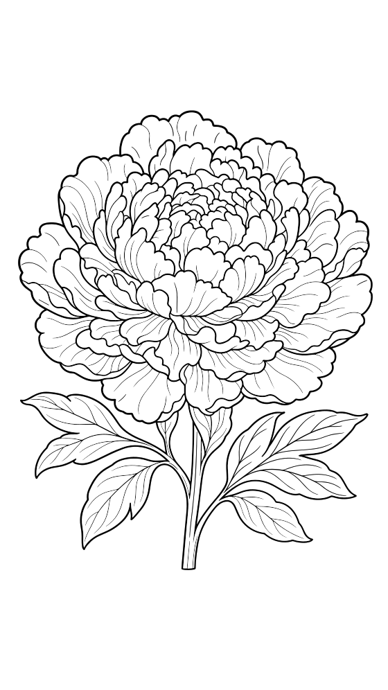 peony coloring page for adults — free printable PDF