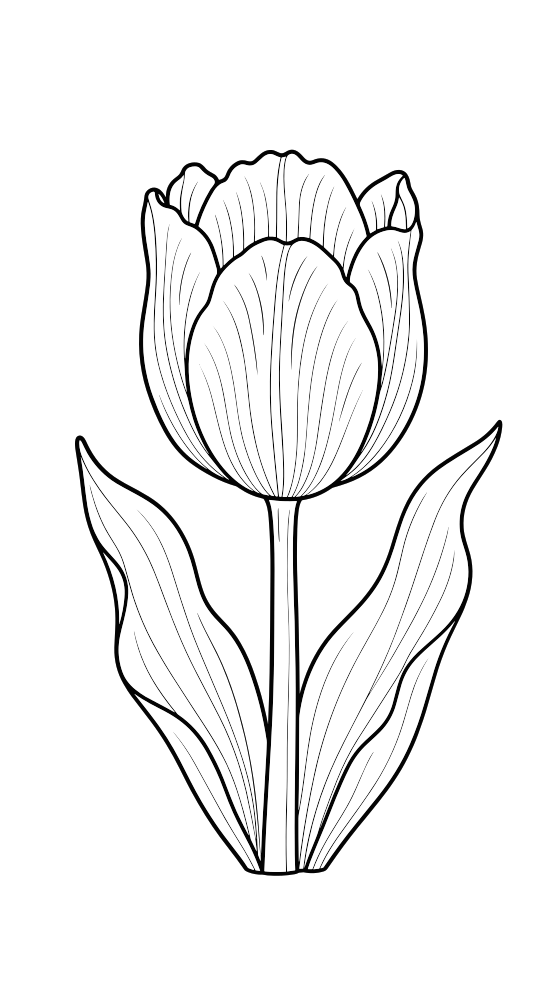 tulip coloring page for adults — free printable PDF
