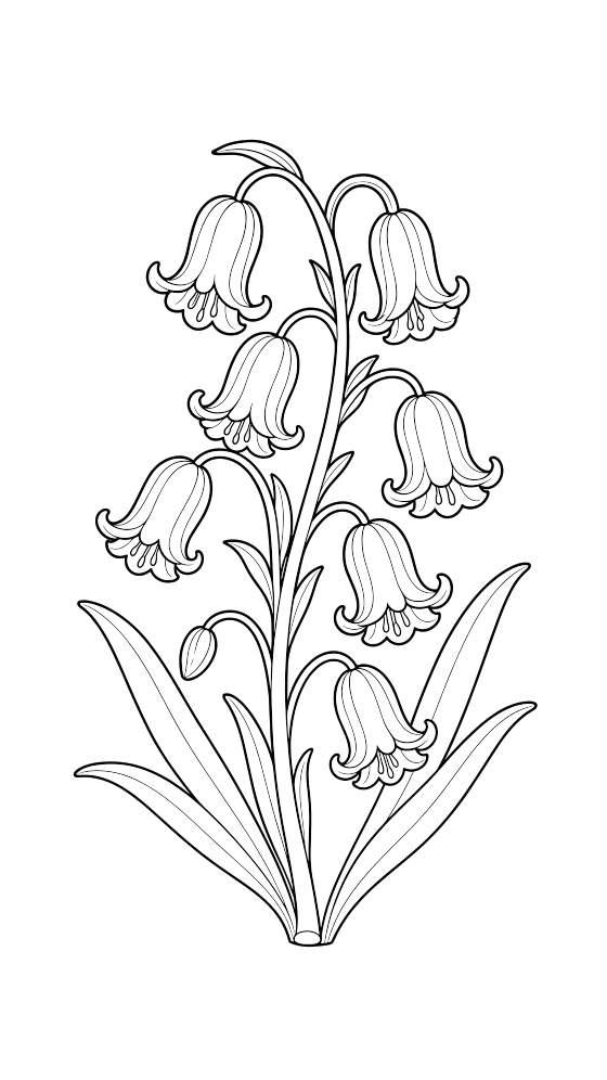 bluebell coloring page for adults — free printable PDF