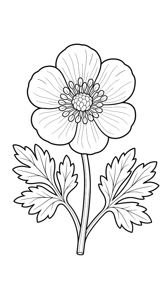 buttercup coloring page for adults — free printable PDF