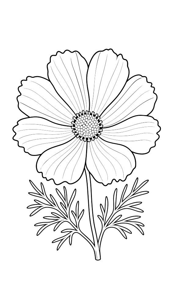 cosmos coloring page for adults — free printable PDF